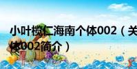 小葉欖仁海南個體002(關于小葉欖仁海南個體002簡介)