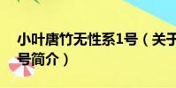 小葉唐竹無性系1號(關于小葉唐竹無性系1號簡介)