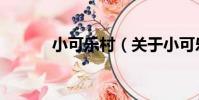 小可樂村(關于小可樂村簡介)