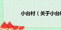 小臺村(關于小臺村簡介)