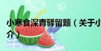 小寒食深青驛留題(關于小寒食深青驛留題簡介)