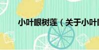 小葉眼樹蓮(關于小葉眼樹蓮簡介)