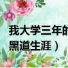 我大學三年的黑道生涯第二年（我大學三年的黑道生涯）
