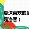 夏沫喜歡的是歐辰還是洛熙（夏沫喜歡歐辰還是洛熙）