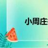 小周莊井（關于小周莊井簡介）