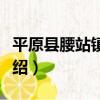 平原縣腰站鎮黨委（關于平原縣腰站鎮黨委介紹）