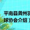 平南縣龔州羽毛球協會（關于平南縣龔州羽毛球協會介紹）