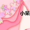 小呆昭（關于小呆昭簡介）