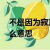 不是因為寂寞而想你,而是因為想你而寂寞什么意思