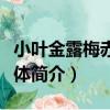 小葉金露梅赤城群體（關于小葉金露梅赤城群體簡介）