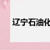 遼寧石油化工大學職業技術學院鄧書平