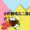 小葉錦雞兒二連浩特群體（關于小葉錦雞兒二連浩特群體簡介）