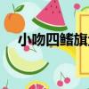 小吻四鰭旗魚（關于小吻四鰭旗魚簡介）