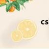 csbn是啥意思（csb）