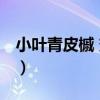 小葉青皮槭 變種（關于小葉青皮槭 變種簡介）