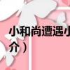 小和尚遭遇小奸商（關于小和尚遭遇小奸商簡介）