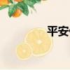 平安付（關于平安付介紹）