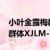 小葉金露梅群體XJLM-73（關于小葉金露梅群體XJLM-73簡介）
