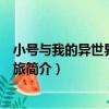 小號與我的異世界生活之旅（關于小號與我的異世界生活之旅簡介）