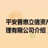 平安普惠立信資產管理有限公司（關于平安普惠立信資產管理有限公司介紹）