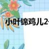 小葉錦雞兒2號（關于小葉錦雞兒2號簡介）
