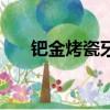 鈀金烤瓷牙對比全瓷牙（金鈀烤瓷牙）