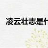 凌云壯志是什么意思啊（凌云壯志的意思）