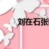 劉在石張國榮發型（劉在石張國榮）