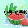 小號-短號教程（關于小號-短號教程簡介）