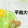 平南大橋（關于平南大橋介紹）