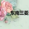 東南三菱戈藍汽車（東南三菱戈藍）