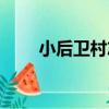 小后衛村志（關于小后衛村志簡介）