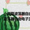 小周期波蕩器自由電子激光器理論和實驗研究（關于小周期波蕩器自由電子激光器理論和實驗研究簡介）
