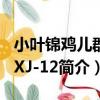 小葉錦雞兒群體XJ-12（關于小葉錦雞兒群體XJ-12簡介）