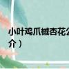 小葉雞爪槭杏花公園群體（關于小葉雞爪槭杏花公園群體簡介）
