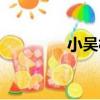 小吳村（關于小吳村簡介）