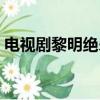 電視劇黎明絕殺劇情簡介（電視劇黎明絕殺）
