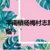 平南鎮楊梅村志愿服務隊（關于平南鎮楊梅村志愿服務隊介紹）