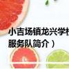 小吉場鎮龍興學校志愿服務隊（關于小吉場鎮龍興學校志愿服務隊簡介）
