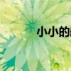 小小的船（關于小小的船簡介）