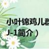 小葉錦雞兒群體XJ-1（關于小葉錦雞兒群體XJ-1簡介）