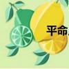平命人（關于平命人介紹）