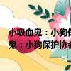 小吸血鬼：小狗保護協會一座看似平常的房子（關于小吸血鬼：小狗保護協會一座看似平常的房子簡介）