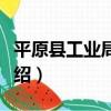 平原縣工業局局志（關于平原縣工業局局志介紹）