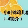 小葉錦雞兒群體XJ-4（關于小葉錦雞兒群體XJ-4簡介）