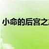 小命的后宮之旅（關于小命的后宮之旅簡介）