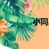 小同桌（關于小同桌簡介）