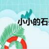 小小的石頭（關于小小的石頭簡介）