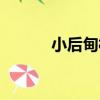 小后甸村（關于小后甸村簡介）