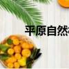 平原自然村（關于平原自然村介紹）